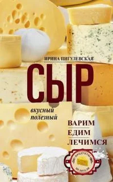 Ирина Пигулевская Сыр вкусный, целебный. Варим, едим, лечимся