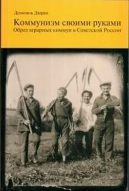 Доминик Дюран Коммунизм своими руками [Образ аграрных коммун в Советской России] обложка книги