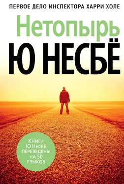 Ю Несбё Нетопырь [litres] обложка книги