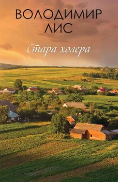 Владимир Лис Стара холера обложка книги