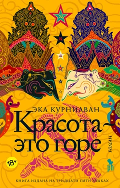 Эка Курниаван Красота – это горе обложка книги