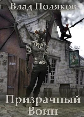 Владимир Поляков Призрачный воин обложка книги