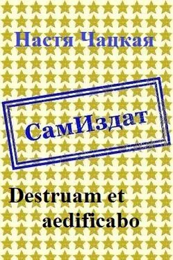Настя Чацкая Destruam et aedificabo [СИ] обложка книги