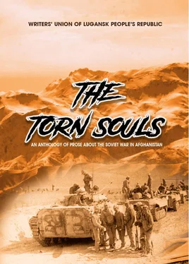 Глеб Бобров The Torn Souls: An Anthology of Prose About the Soviet War in Afghanistan обложка книги