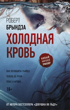 Роберт Брындза Холодная кровь обложка книги