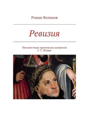 Роман Воликов Ревизия обложка книги