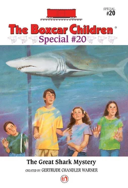 Gertrude Warner Great Shark Mystery обложка книги