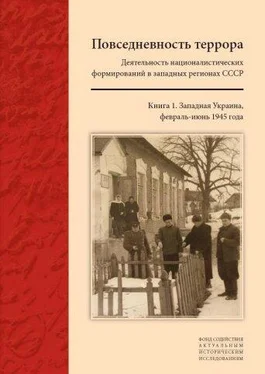 Коллектив авторов Повседневность террора: Деятельность националистических формирований в западных регионах СССР. [Западная Украина, февраль-июнь 1945 года] обложка книги