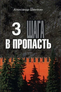 Александр Шевякин 3 шага в пропасть обложка книги