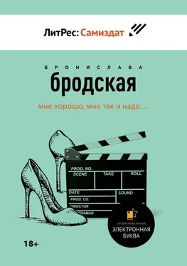 Бронислава Бродская Аудитор [СИ] обложка книги