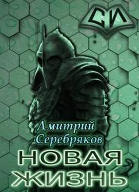 Дмитрий Серебряков (LitNet) Новая жизнь. Том I [СИ] обложка книги