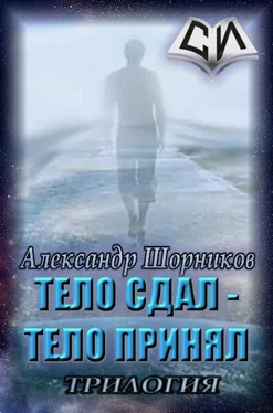 Александр Шорников Выбор цели [СИ] обложка книги