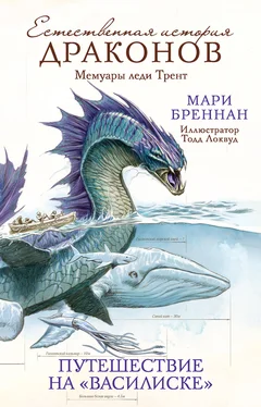 Мари Бреннан Естественная история драконов. Мемуары леди Трент. Путешествие на «Василиске» [litres] обложка книги