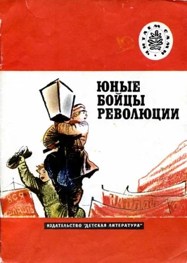 Петр Павленко Юные бойцы революции [Рассказы] обложка книги