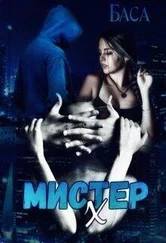 Баса - Мистер Х. Начало [СИ]