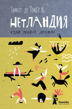 Тимоте де Фомбель Нетландия. Куда уходит детство обложка книги