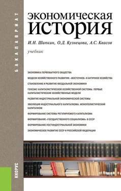 Игорь Шапкин Экономическая история обложка книги