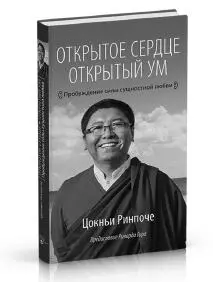 В своей новой книге Цокньи Ринпоче мастерски сплетает воедино глубокие учения о - фото 2