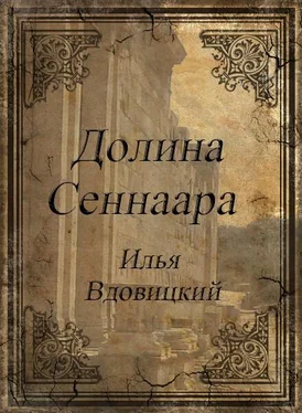 Илья Вдовицкий Долина Сеннаара обложка книги