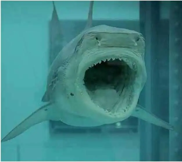 Произведение на классическую для европейского искусства тему ванитас - фото 58