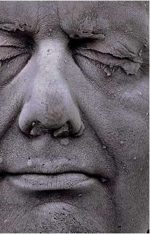 Один из кровавых автопортретов тот что был создан в 2006 году приобрела - фото 62