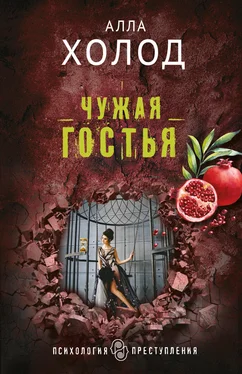 Алла Холод Чужая гостья обложка книги