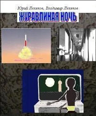 Юрий Леляков Журавлиная ночь обложка книги