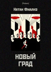 Натан Фиалко - Новый град