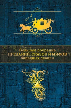 Антология Большое собрание преданий, сказок и мифов западных славян обложка книги