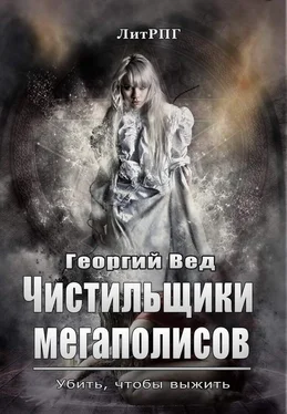 Георгий Вед Чистильщики мегаполисов обложка книги