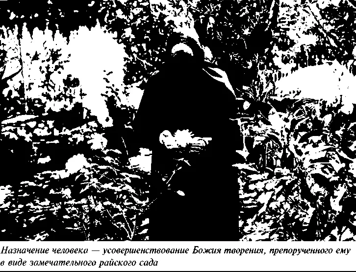 Более того без исполнения этого закона человек не может развить заложенный в - фото 37