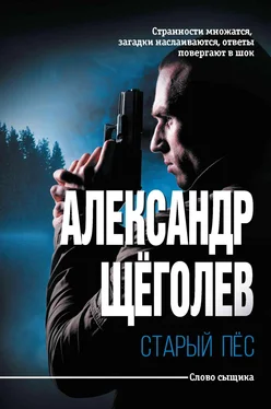 Александр Щеголев Старый пёс обложка книги