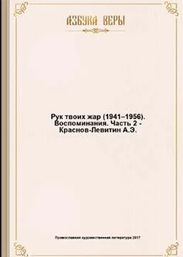 Анатолий Краснов-Левитин Рук твоих жар (1941–1956): Воспоминания обложка книги