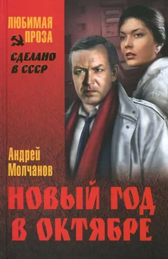 Андрей Молчанов Новый год в октябре: роман, повесть обложка книги