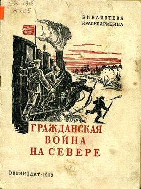 Семен Борисов Гражданская война на Севере обложка книги