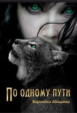 Вероника Абашина По одному пути [СИ] обложка книги