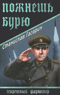 Станислав Гагарин Пожнешь бурю обложка книги