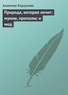 Алевтина Корзунова Природа, которая лечит: мумие, прополис и мед обложка книги