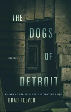 Brad Felver The Dogs of Detroit обложка книги