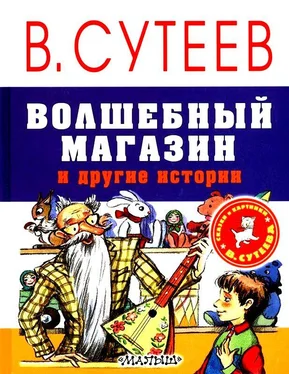 Владимир Сутеев Волшебный магазин и другие истории обложка книги