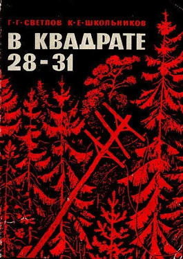Георгий Светлов „В квадрате 28-31“ обложка книги
