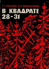 Георгий Светлов - „В квадрате 28-31“