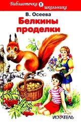 Валентина Осеева - Белкины проделки