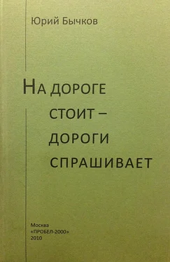 Юрий Бычков На дороге стоит – дороги спрашивает обложка книги