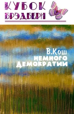 Виктория Кош Немного демократии обложка книги