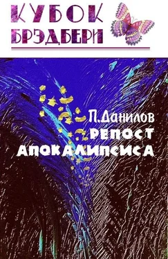 Павел Данилов Репост апокалипсиса обложка книги