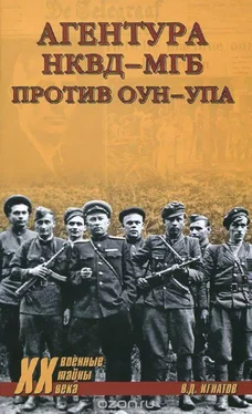 Владимир Игнатов Агентура НКВД-МГБ против ОУН-УПА обложка книги