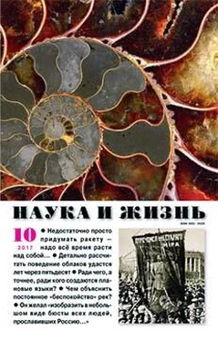 Песах Амнуэль Элфи обложка книги