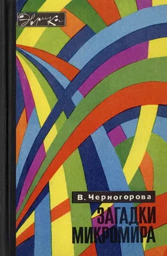 Вера Черногорова Загадки микромира обложка книги