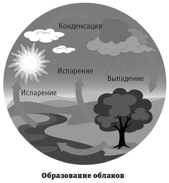 Перистые облака формируются на большой высоте в стратосфере Они состоят из - фото 99
